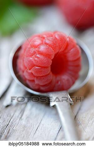 Stock Photo - European Red Raspberry (Rubus idaeus). Fotosearch