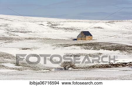 Farm in winter, Cezallier plateau, Puy de Dome department, Auvergne-Rhone-Alpes, France, Europe View Large Photo Image Picture - Farm in winter, Cezallier plateau, Puy de Dome department, Auvergne-Rhone-Alpes, France, Europe. Fotosearch