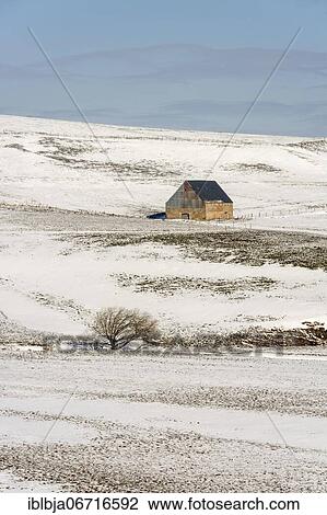 Stock Image - Farm in winter in Cezallier massif, Regional Nature Park of Volcans d'Auvergne, Puy de Dome, France, Europe. Fotosearch