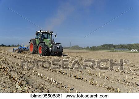Farmer cultivating harvested maize field, Nettetal, Viersen, NRW, Germany, Europe View Large Photo Image Stock Image - Farmer cultivating harvested maize field, Nettetal, Viersen, NRW, Germany, Europe. Fotosearch