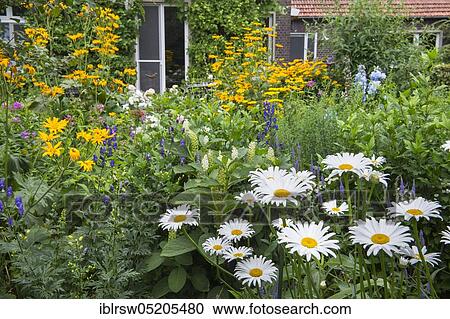 Farmer's garden, Quatmann family, Elsten, Oldenburger Münsterland, Lower Saxony, Germany, Europe View Large Photo Image Stock Image - Farmer's garden, Quatmann family, Elsten, Oldenburger Münsterland, Lower Saxony, Germany, Europe. Fotosearch