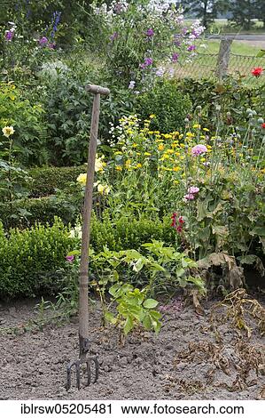 Stock Image - Farmer's garden, Quatmann family, Elsten, Oldenburger Münsterland, Lower Saxony, Germany, Europe. Fotosearch