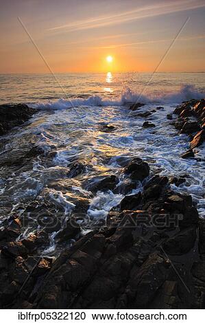 Farne Islands, Great Britain View Large Photo Image Stock Image - Farne Islands, Great Britain. Fotosearch