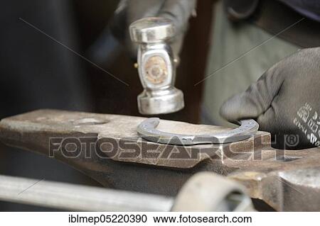 Stock Image - Farrier at work, working on horseshoes, getting into shape. Fotosearch