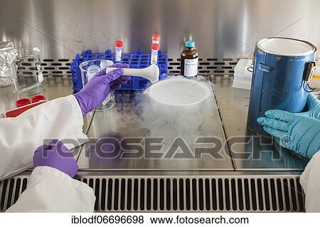 Female scientists of the biology department during RNA isolation and genetic engineering in the laboratories of the University of Duisburg-Essen View Large Photo Image Stock Photo - Female scientists of the biology department during RNA isolation and genetic engineering in the laboratories of the University of Duisburg-Essen. Fotosearch