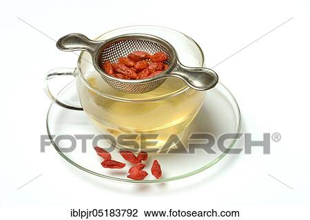 Stock Image - Fenugreek-tea in tea cup, in tea strainer (Lycium barbarum), cup, tea strainer, tea. Fotosearch