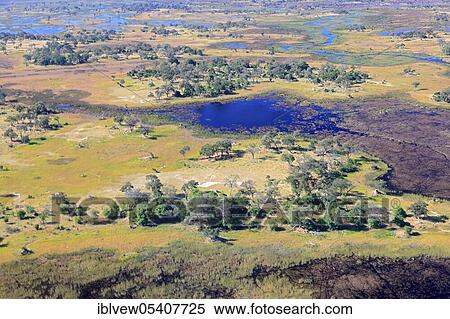 Floodplain, Okavango Delta, Botswana, Africa View Large Photo Image Stock Photography - Floodplain, Okavango Delta, Botswana, Africa. Fotosearch