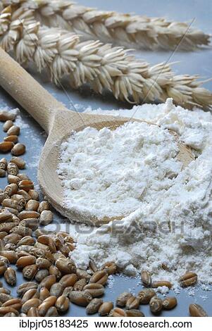 Stock Photography - Flour, flour (Triticum aestivum) cereal grains, Wheatgrains, ears. Fotosearch