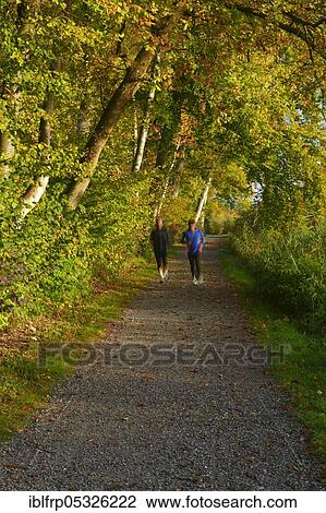 Forest path at the Pfäffikersee, Switzerland, Europe View Large Photo Image Stock Image - Forest path at the Pfäffikersee, Switzerland, Europe. Fotosearch