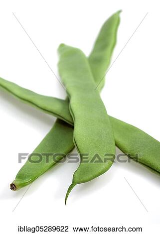 French Bean, Green Bean, Green Bean (phaseolus vulgaris), Butterfly Bean, French Bean called Coco Plat, Vegetable Freisteller View Large Photo Image Stock Image - French Bean, Green Bean, Green Bean (phaseolus vulgaris), Butterfly Bean, French Bean called Coco Plat, Vegetable Freisteller. Fotosearch
