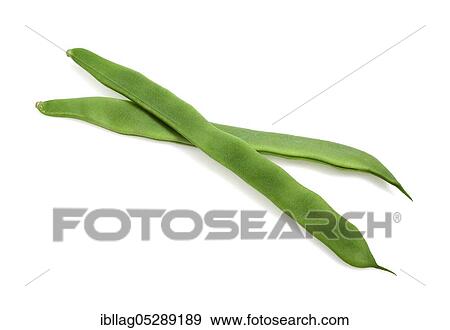 French Bean, Green Bean, Green Bean (phaseolus vulgaris), Butterfly Bean, French Bean called Coco Plat, Vegetable Freisteller View Large Photo Image Stock Photo - French Bean, Green Bean, Green Bean (phaseolus vulgaris), Butterfly Bean, French Bean called Coco Plat, Vegetable Freisteller. Fotosearch