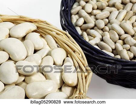 French Bean, Green Bean, Green Bean (phaseolus vulgaris), Butterfly Bean, French Soissons Beans with French White Kidney Beans or Mogette From Vendee View Large Photo Image Stock Photo - French Bean, Green Bean, Green Bean (phaseolus vulgaris), Butterfly Bean, French Soissons Beans with French White Kidney Beans or Mogette From Vendee. Fotosearch