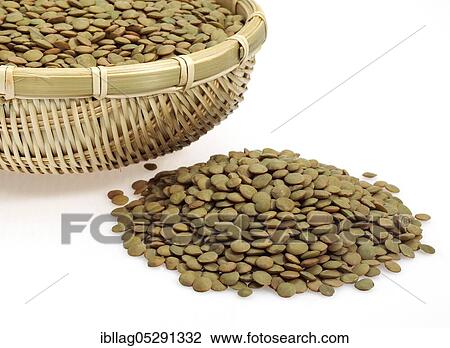 French blonde lentils from St. Flour, lentils esculenta, dried vegetables against a white background View Large Photo Image Stock Image - French blonde lentils from St. Flour, lentils esculenta, dried vegetables against a white background. Fotosearch