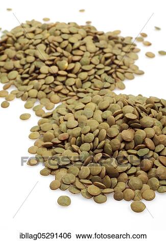French blonde lentils from St. Flour, lentils esculenta, dried vegetables against a white background View Large Photo Image Stock Photograph - French blonde lentils from St. Flour, lentils esculenta, dried vegetables against a white background. Fotosearch