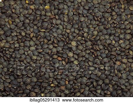 French green lentils called Puy lentils View Large Photo Image Stock Image - French green lentils called Puy lentils. Fotosearch