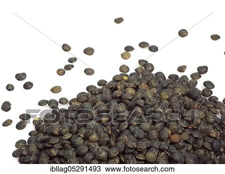 French green lentils called Puy lentils View Large Photo Image Stock Image - French green lentils called Puy lentils. Fotosearch