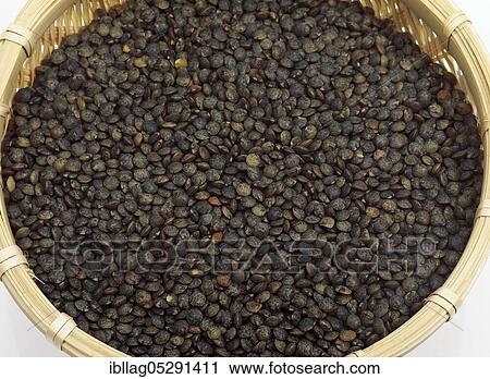 French green Puy lentils, lentils esculenta, dried vegetables in basket View Large Photo Image Stock Image - French green Puy lentils, lentils esculenta, dried vegetables in basket. Fotosearch