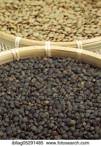 French lentils called Puy lentils and St. flour lentils View Large Photo Image Stock Photography - French lentils called Puy lentils and St. flour lentils. Fotosearch