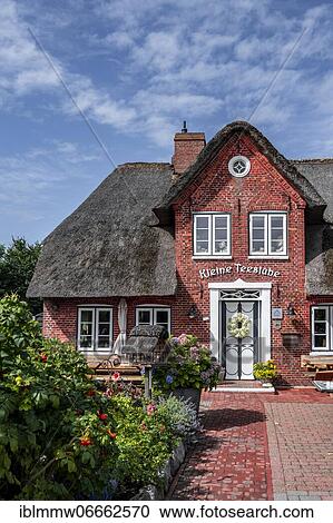 Frisian house with thatched roof, Keitum, Sylt, North Frisia, Schleswig-Holstein, Germany, Europe View Large Photo Image Stock Image - Frisian house with thatched roof, Keitum, Sylt, North Frisia, Schleswig-Holstein, Germany, Europe. Fotosearch