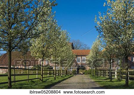 Füchteler Wald, Gut Füchtel, Oldenburger Münsterland, Vechta, Lower Saxony, Germany, Europe View Large Photo Image Picture - Füchteler Wald, Gut Füchtel, Oldenburger Münsterland, Vechta, Lower Saxony, Germany, Europe. Fotosearch