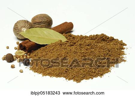 Garam Masala, Indian spice powder, spice mix, spoon, ingredients cardamom, coriander, nutmeg, bay leaf, allspice, cinnamon View Large Photo Image Stock Image - Garam Masala, Indian spice powder, spice mix, spoon, ingredients cardamom, coriander, nutmeg, bay leaf, allspice, cinnamon. Fotosearch