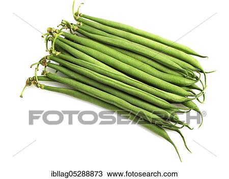 Stock Image - Garden bean, Green bean, Green bean (phaseolus vulgaris), Papilionaceous plant, Freely grown bean. Fotosearch
