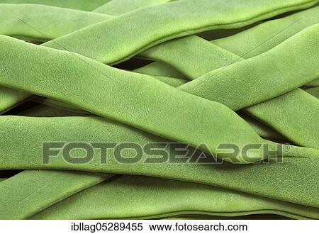 Stock Photography - Garden Bean, Green Bean, Green Bean (phaseolus vulgaris), Butterfly Bean, French Bean called Coco Plat. Fotosearch