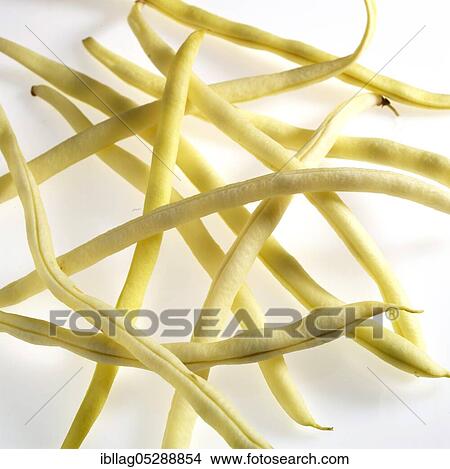 Garden Bean, Green Bean, Green Beans (phaseolus vulgaris), Papilionaceous Beans, French Yellow Beans called Mange Tout Beans, Vegetables Freisteller View Large Photo Image Picture - Garden Bean, Green Bean, Green Beans (phaseolus vulgaris), Papilionaceous Beans, French Yellow Beans called Mange Tout Beans, Vegetables Freisteller. Fotosearch