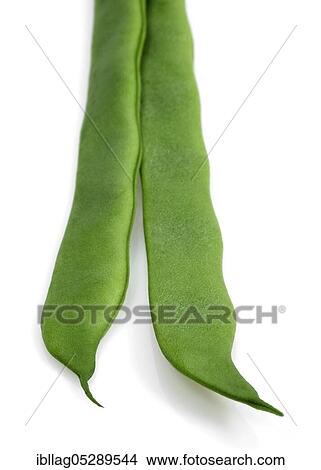 Garden bean, Green bean, Green beans (phaseolus vulgaris), Butterfly plant, French bean called Coco Plat, Vegetable against white background View Large Photo Image Picture - Garden bean, Green bean, Green beans (phaseolus vulgaris), Butterfly plant, French bean called Coco Plat, Vegetable against white background. Fotosearch
