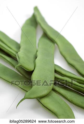Garden Bean, Green Bean, Green Beans (phaseolus vulgaris), Butterfly Bean, French Beans called Coco Plat, Beans Freisteller View Large Photo Image Picture - Garden Bean, Green Bean, Green Beans (phaseolus vulgaris), Butterfly Bean, French Beans called Coco Plat, Beans Freisteller. Fotosearch