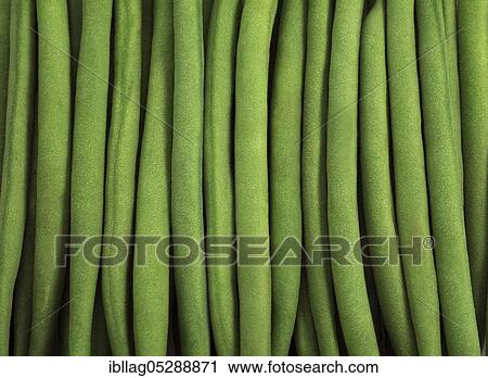 Garden bean, Green bean, Green beans (phaseolus vulgaris), Papilionaceous plants, ON MARKET STALL View Large Photo Image Stock Image - Garden bean, Green bean, Green beans (phaseolus vulgaris), Papilionaceous plants, ON MARKET STALL. Fotosearch