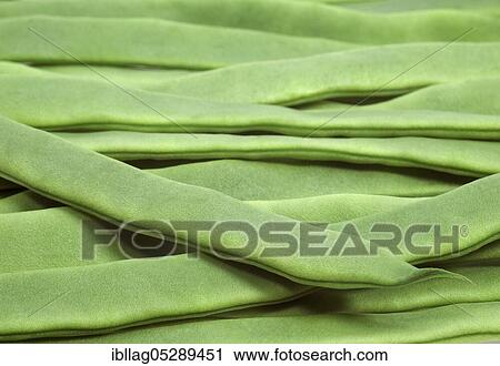 Garden Bean, Green Bean, Green Beans (phaseolus vulgaris), Butterfly Bean, French Beans called Coco Plat View Large Photo Image Stock Image - Garden Bean, Green Bean, Green Beans (phaseolus vulgaris), Butterfly Bean, French Beans called Coco Plat. Fotosearch