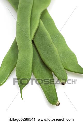 Garden bean, Green bean, Green beans (phaseolus vulgaris), Butterfly plant, French bean called Coco Plat, Vegetable against white background View Large Photo Image Stock Image - Garden bean, Green bean, Green beans (phaseolus vulgaris), Butterfly plant, French bean called Coco Plat, Vegetable against white background. Fotosearch
