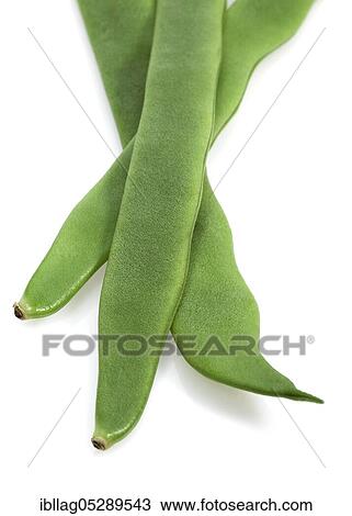 Garden Bean, Green Bean, Green Beans (phaseolus vulgaris), Butterfly Plant, French Beans called Coco Plat, Beans against white background View Large Photo Image Stock Image - Garden Bean, Green Bean, Green Beans (phaseolus vulgaris), Butterfly Plant, French Beans called Coco Plat, Beans against white background. Fotosearch