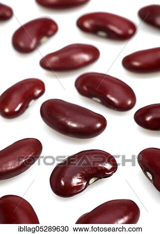 Garden Bean, Green Bean, Green Beans (phaseolus vulgaris), Papilionaceous Beans, Red Beans, Dried Vegetables Freesheet View Large Photo Image Stock Image - Garden Bean, Green Bean, Green Beans (phaseolus vulgaris), Papilionaceous Beans, Red Beans, Dried Vegetables Freesheet. Fotosearch