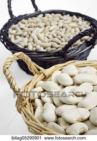 Stock Image - Garden Bean, Green Bean, Green Beans. Fotosearch