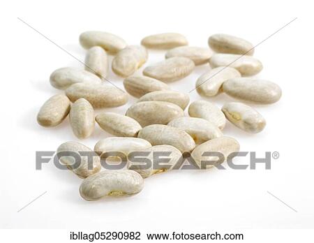Stock Image - Garden Bean, Green Bean, Green Beans (phaseolus vulgaris), Papilionaceous Bean, French Beans called Mogette de Vendee, Beans cut out. Fotosearch