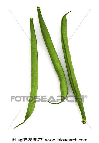 Stock Photo - Garden Bean, Green Bean, Green Beans (phaseolus vulgaris), Papilionaceous Bean, Green Beans or French Beans, Vegetable Freesheets. Fotosearch