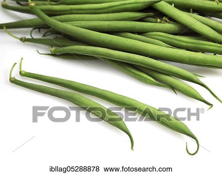 Stock Photo - Garden Bean, Green Bean, Green Beans (phaseolus vulgaris), Papilionaceous Bean, Green Beans or French Beans, Vegetable Freesheets. Fotosearch