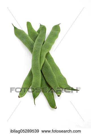Garden Bean, Green Bean, Green Beans (phaseolus vulgaris), Butterfly Plant, French Beans called Coco Plat, Beans against white background View Large Photo Image Stock Photo - Garden Bean, Green Bean, Green Beans (phaseolus vulgaris), Butterfly Plant, French Beans called Coco Plat, Beans against white background. Fotosearch