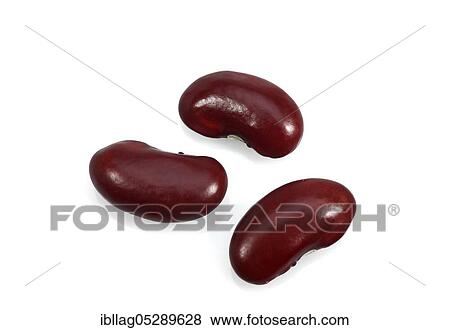 Garden Bean, Green Bean, Green Beans (phaseolus vulgaris), Papilionaceous Beans, Red Beans, Dried Vegetables Freesheet View Large Photo Image Stock Photo - Garden Bean, Green Bean, Green Beans (phaseolus vulgaris), Papilionaceous Beans, Red Beans, Dried Vegetables Freesheet. Fotosearch