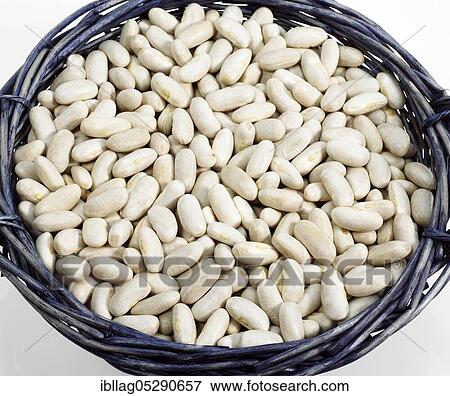 Stock Photo - Garden Bean, Green Bean, Green Beans (phaseolus vulgaris), Papilionaceous Bean, French Beans called Mogette de Vendee, Beans cut out. Fotosearch