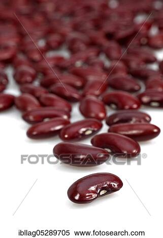 Garden Bean, Green Bean, Green Beans (phaseolus vulgaris), Papilionaceous Beans, Red Beans, Dried Vegetables Freesheet View Large Photo Image Stock Photography - Garden Bean, Green Bean, Green Beans (phaseolus vulgaris), Papilionaceous Beans, Red Beans, Dried Vegetables Freesheet. Fotosearch