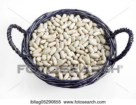 Garden bean, Green bean, Green beans (phaseolus vulgaris), Papilionaceous plants View Large Photo Image Stock Photography - Garden bean, Green bean, Green beans (phaseolus vulgaris), Papilionaceous plants. Fotosearch