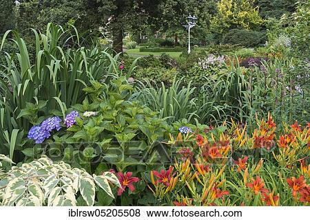 Stock Photo - Garden, Osterloh family, Paradise Garden Osterloh, Visbek, Oldenburger Münsterland, Lower Saxony, Germany, Europe. Fotosearch