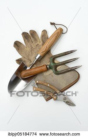 Picture - Garden tool, Garden tools, Garden shears, Garden shovel, Hand fork, Shovel. Fotosearch