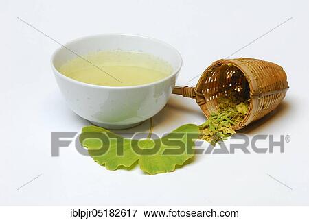 Ginkgo-tea ( Ginkgo biloba), Maidenhair tree, tea strainer View Large Photo Image Stock Photo - Ginkgo-tea ( Ginkgo biloba), Maidenhair tree, tea strainer. Fotosearch