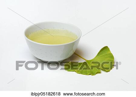Stock Photo - Ginkgo-Tea ( Ginkgo biloba), Maidenhair tree. Fotosearch