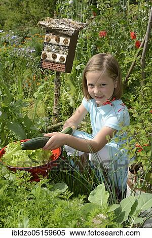 Girl with cucumber, in nature garden View Large Photo Image Stock Photography - Girl with cucumber, in nature garden. Fotosearch