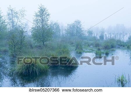 Goldenstedter Moor, Lower Saxony, Germany, Europe View Large Photo Image Stock Photograph - Goldenstedter Moor, Lower Saxony, Germany, Europe. Fotosearch